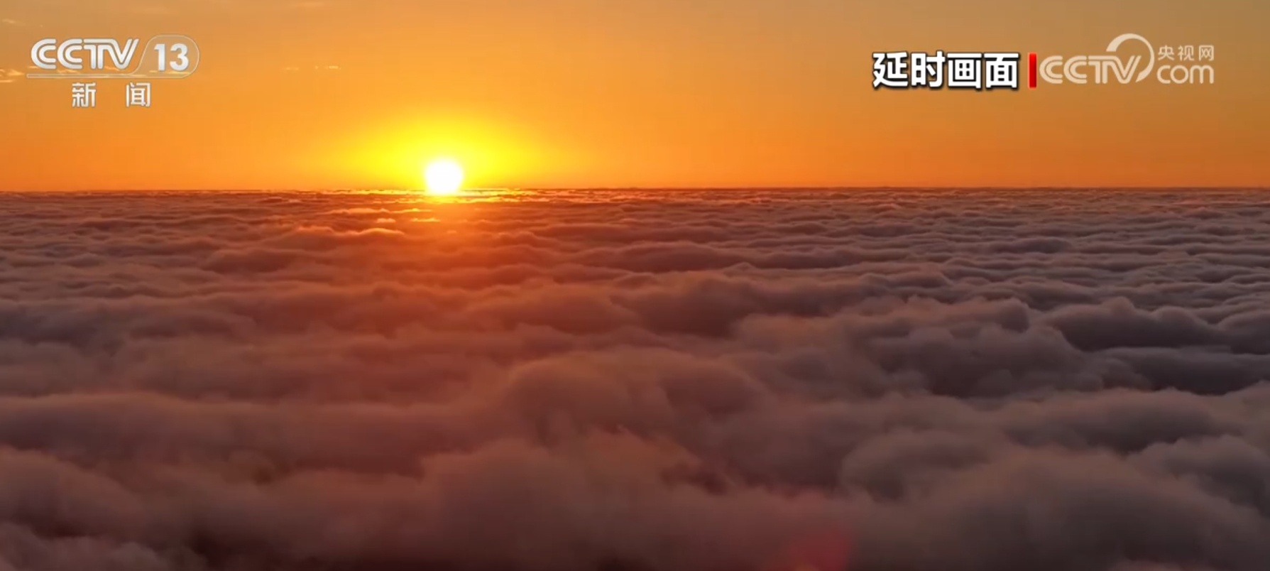 飞鸟、云海、雪山……绝美景观“绘”诗意画卷 厚植高质量发展绿色底色 飞鸟、云海、雪山……绝美景观“绘”诗意画卷 厚植高质量发展绿色底色