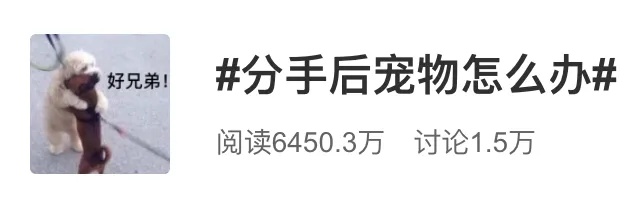 “分手可以，猫得归我！”