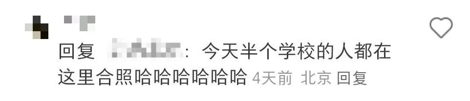 谁说这天冷啊？这学校树上的毛线衣可太暖了！网友：“我也想穿上个这样的毛线衣……”