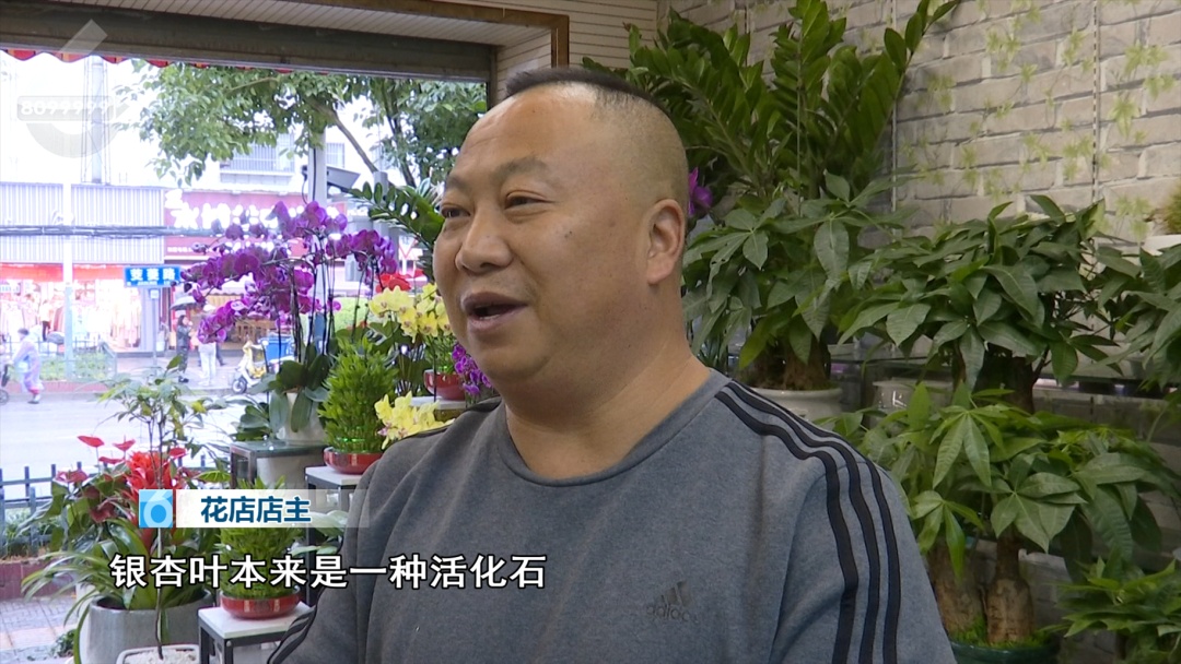你买过没?“季节限定”银杏叶成商品,昆明售价…… 你买过没?“季节限定”银杏叶成商品,昆明售价……