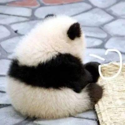 男大，体育生，没傍上美女富婆的他选择了……