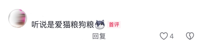 红嘴鸥能吃宣威火腿、狗粮吗？这个冬天，你会去“鸥”遇吗？