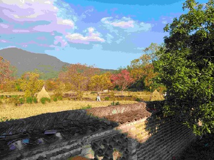 低空旅游、数字游民……看黄山旅游如何“跨界” 低空旅游、数字游民……看黄山旅游如何“跨界”