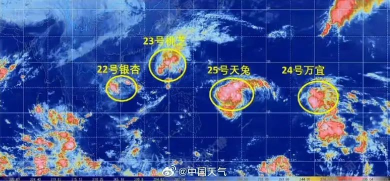 历史罕见“四台共舞”，接下来的天气有变→