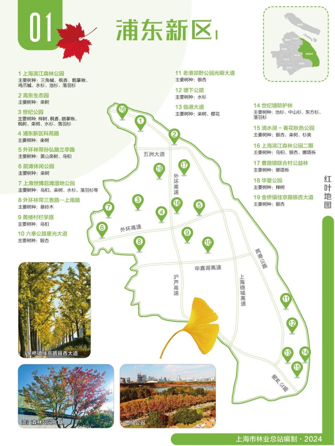 2024版红叶地图上线，一起来解锁上海深秋的美～