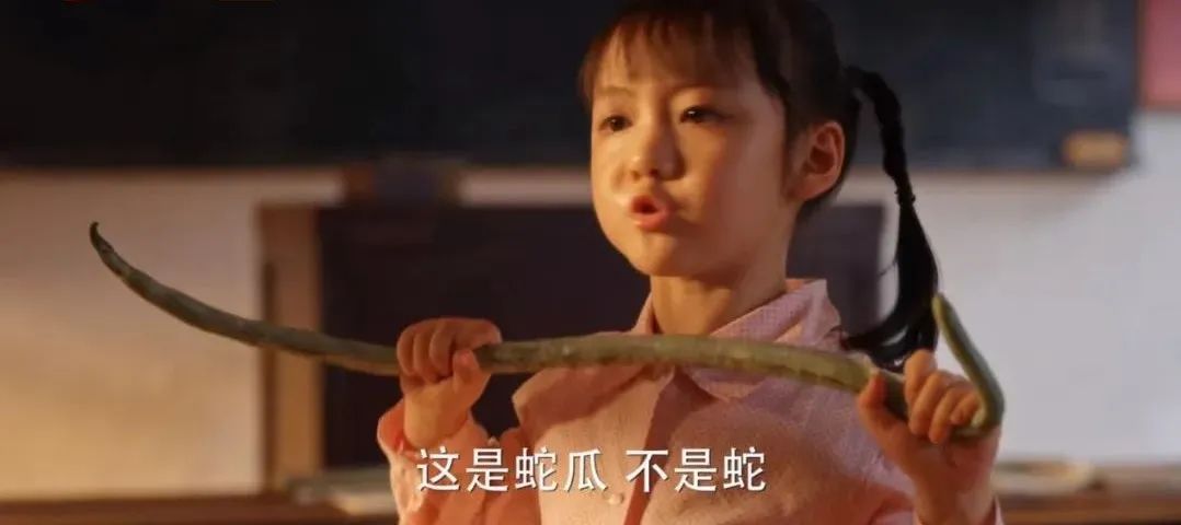 火上热搜!钾含量是香蕉近 3 倍,这种瓜促排便,热量超低,真的建议你试试! 火上热搜!钾含量是香蕉近 3 倍,这种瓜促排便,热量超低,真的建议你试试!