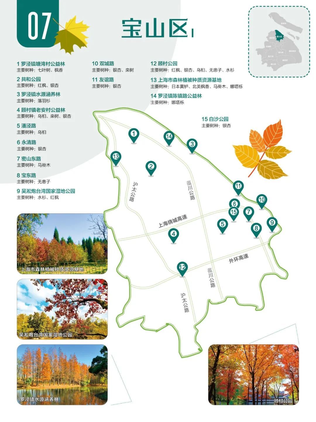 2024版红叶地图上线，一起来解锁上海深秋的美～