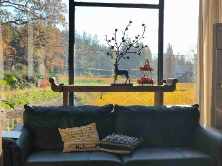 低空旅游、数字游民……看黄山旅游如何“跨界” 低空旅游、数字游民……看黄山旅游如何“跨界”