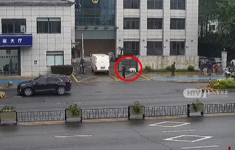 小狗走失后自己“报警”，半天就回家！全靠这个