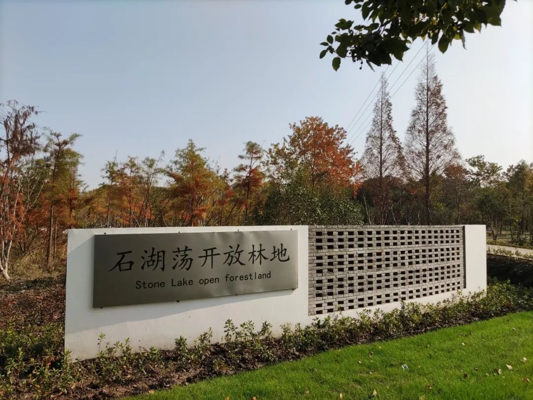 2024版红叶地图上线，一起来解锁上海深秋的美～