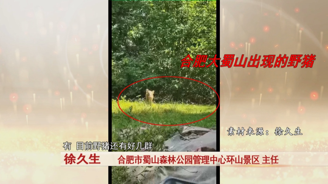 提醒！从这些地方爬大蜀山，危险！