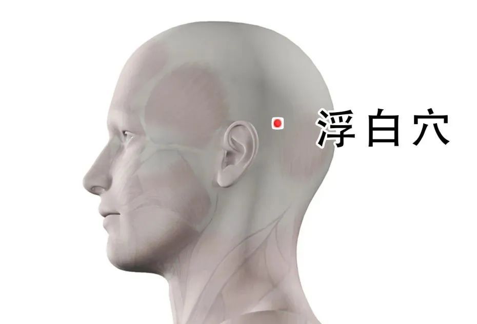 脱发、白发突然增多是你老了吗?可能是缺乏这4种营养了 脱发、白发突然增多是你老了吗?可能是缺乏这4种营养了