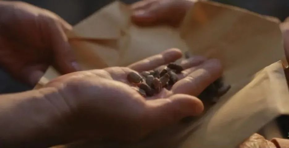 火上热搜!钾含量是香蕉近 3 倍,这种瓜促排便,热量超低,真的建议你试试! 火上热搜!钾含量是香蕉近 3 倍,这种瓜促排便,热量超低,真的建议你试试!