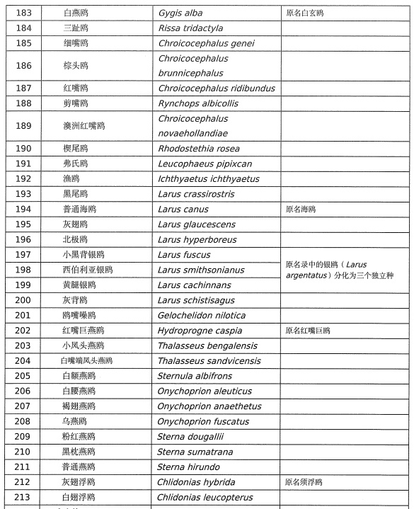 红嘴鸥能吃宣威火腿、狗粮吗？这个冬天，你会去“鸥”遇吗？