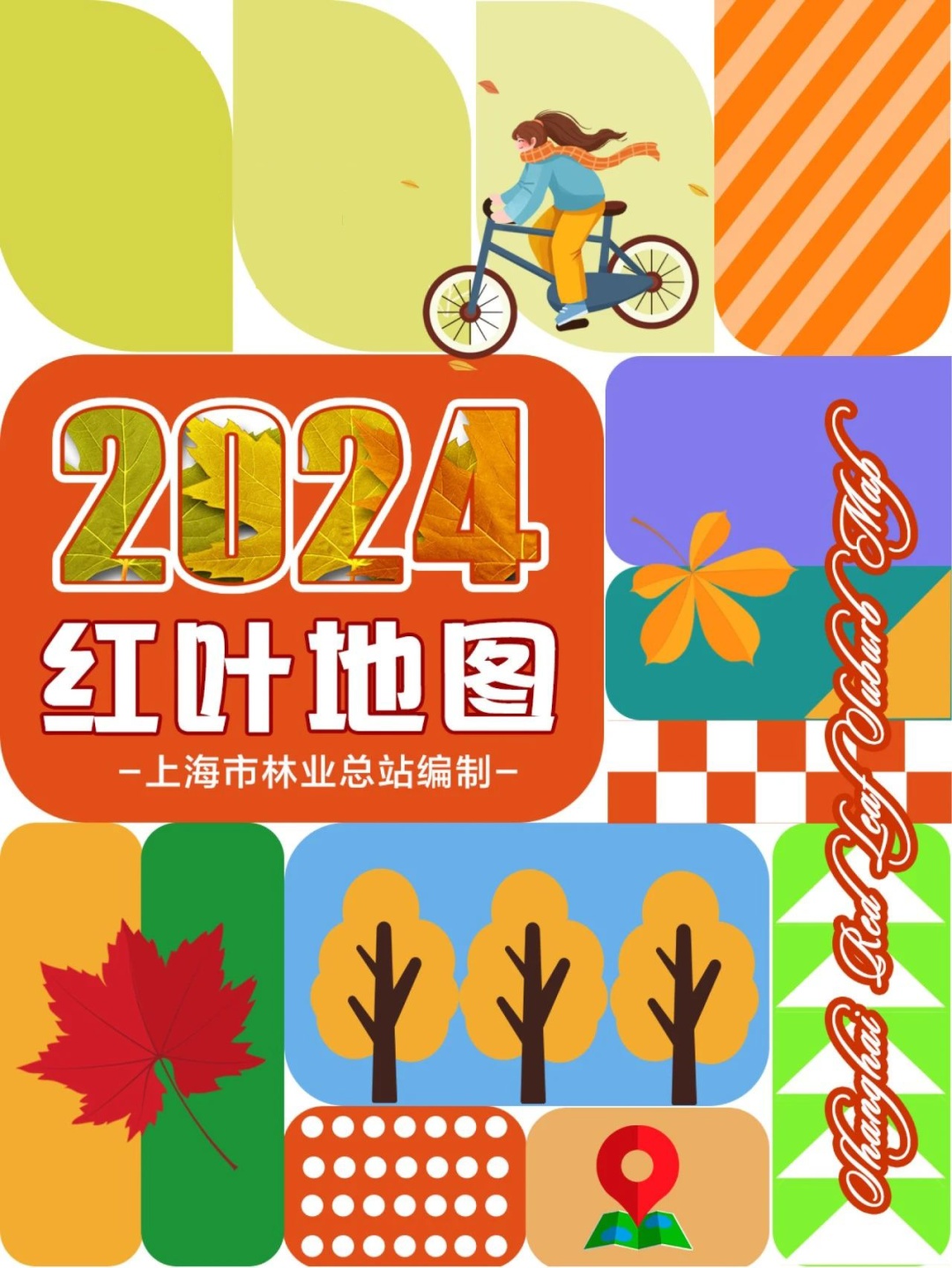 2024版红叶地图上线，一起来解锁上海深秋的美～