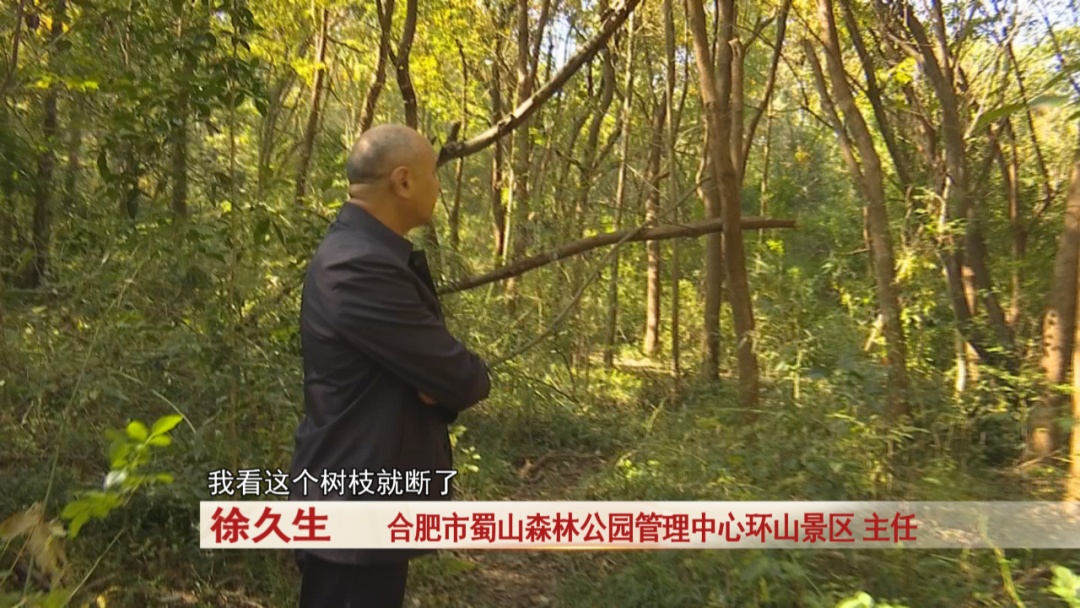 提醒！从这些地方爬大蜀山，危险！