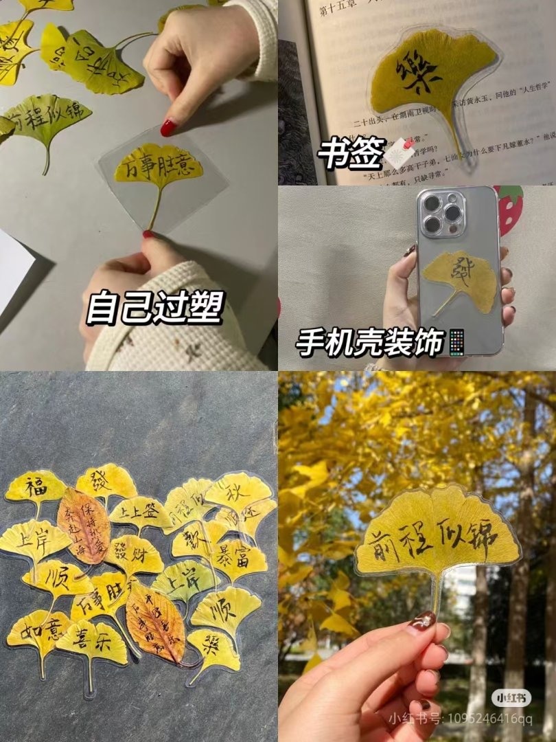 你买过没?“季节限定”银杏叶成商品,昆明售价…… 你买过没?“季节限定”银杏叶成商品,昆明售价……