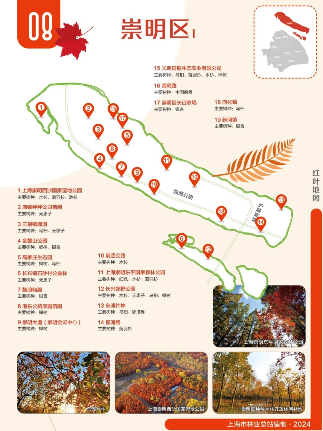 2024版红叶地图上线，一起来解锁上海深秋的美～