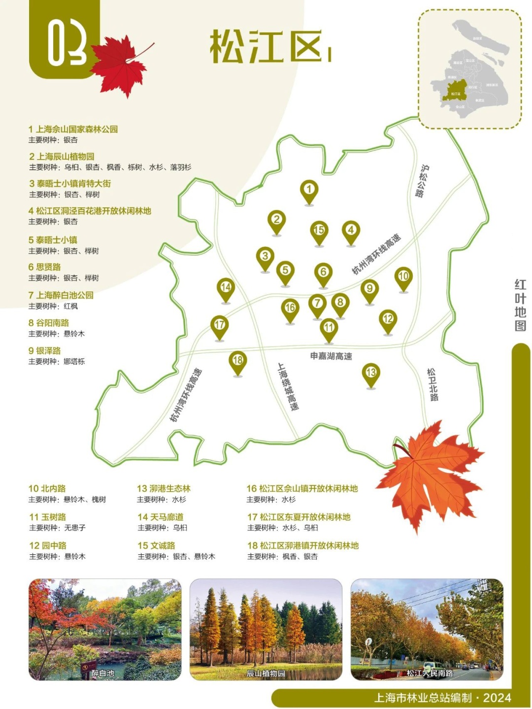2024版红叶地图上线，一起来解锁上海深秋的美～