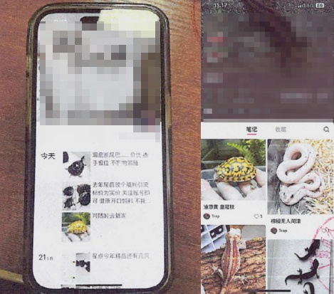 “爬圈”是个什么圈?有人利用“爬圈”诈骗,你知道吗? “爬圈”是个什么圈?有人利用“爬圈”诈骗,你知道吗?