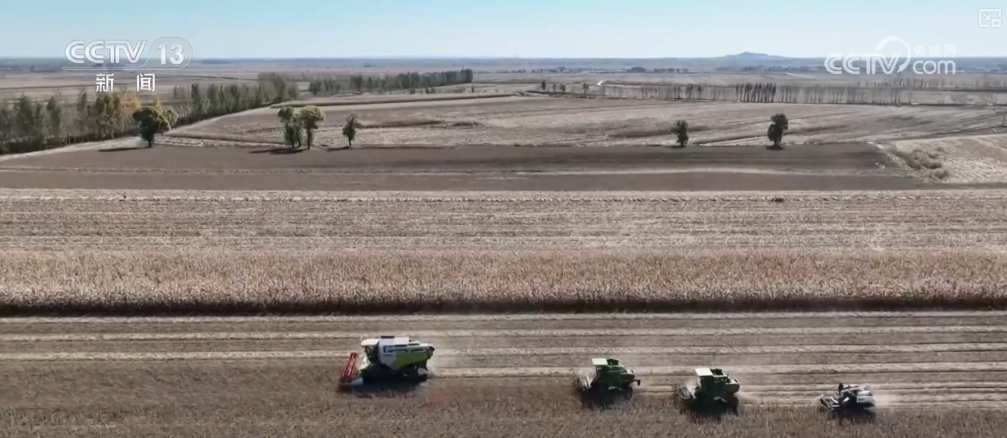 文化中国行 | 抓一把祈愿丰收的耤田土 看古代粮仓里的智慧 文化中国行 | 抓一把祈愿丰收的耤田土 看古代粮仓里的智慧