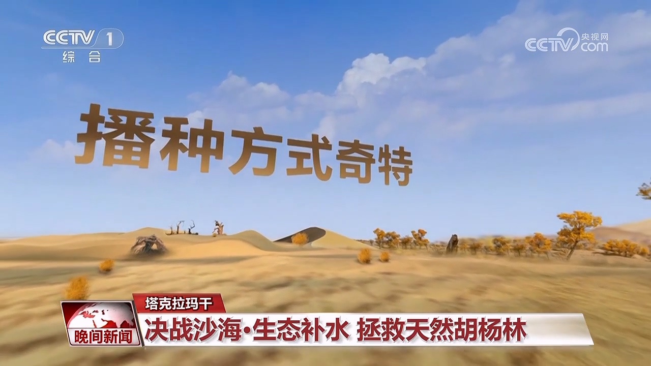 决战沙海｜护河守林润绿洲