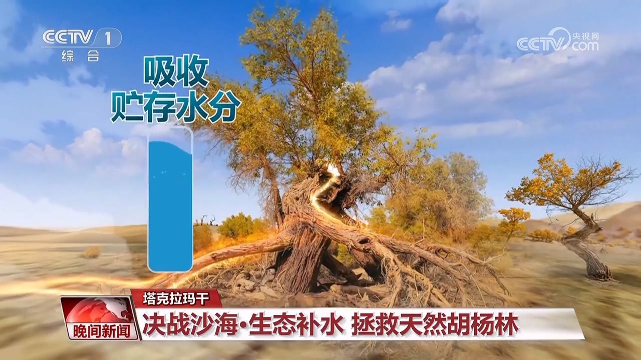 决战沙海｜护河守林润绿洲