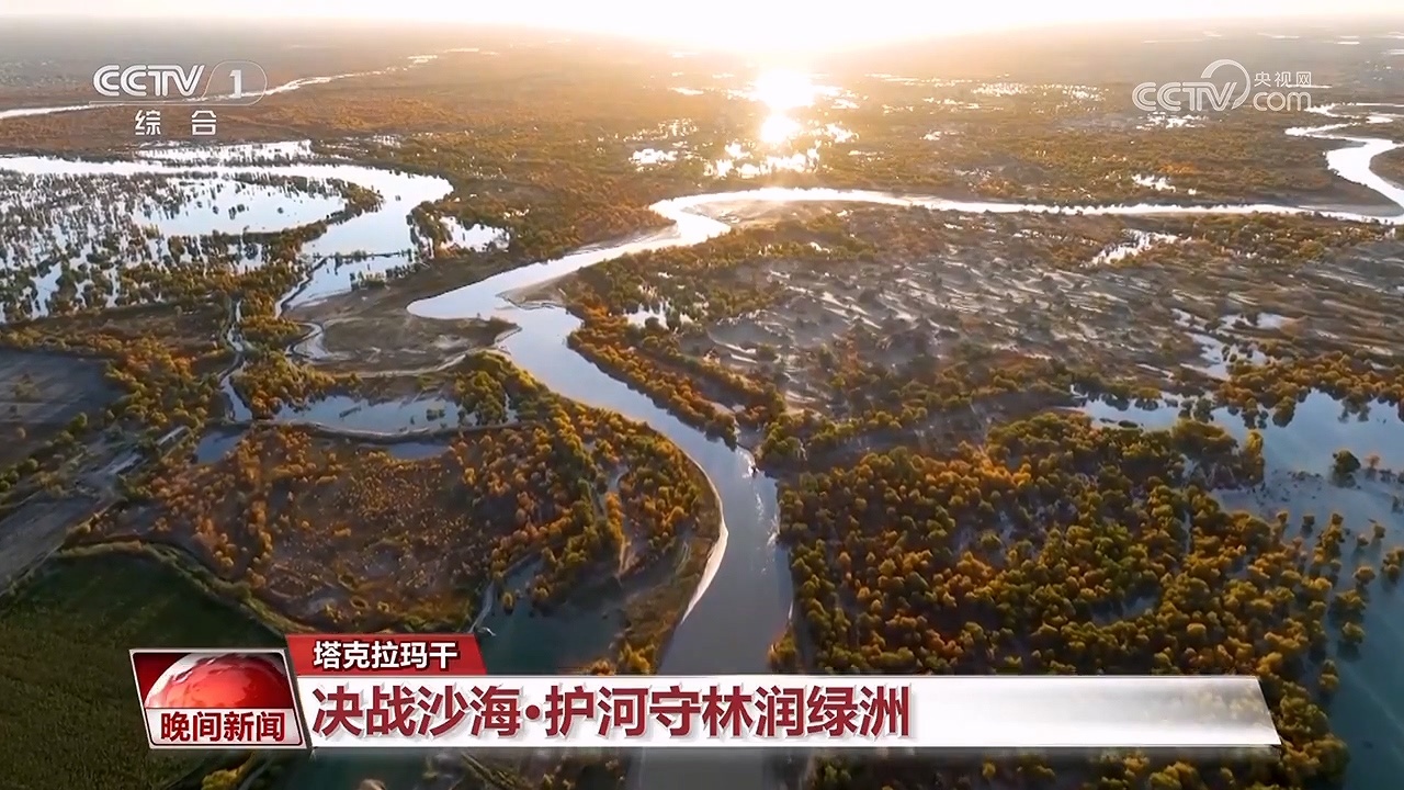 决战沙海｜护河守林润绿洲