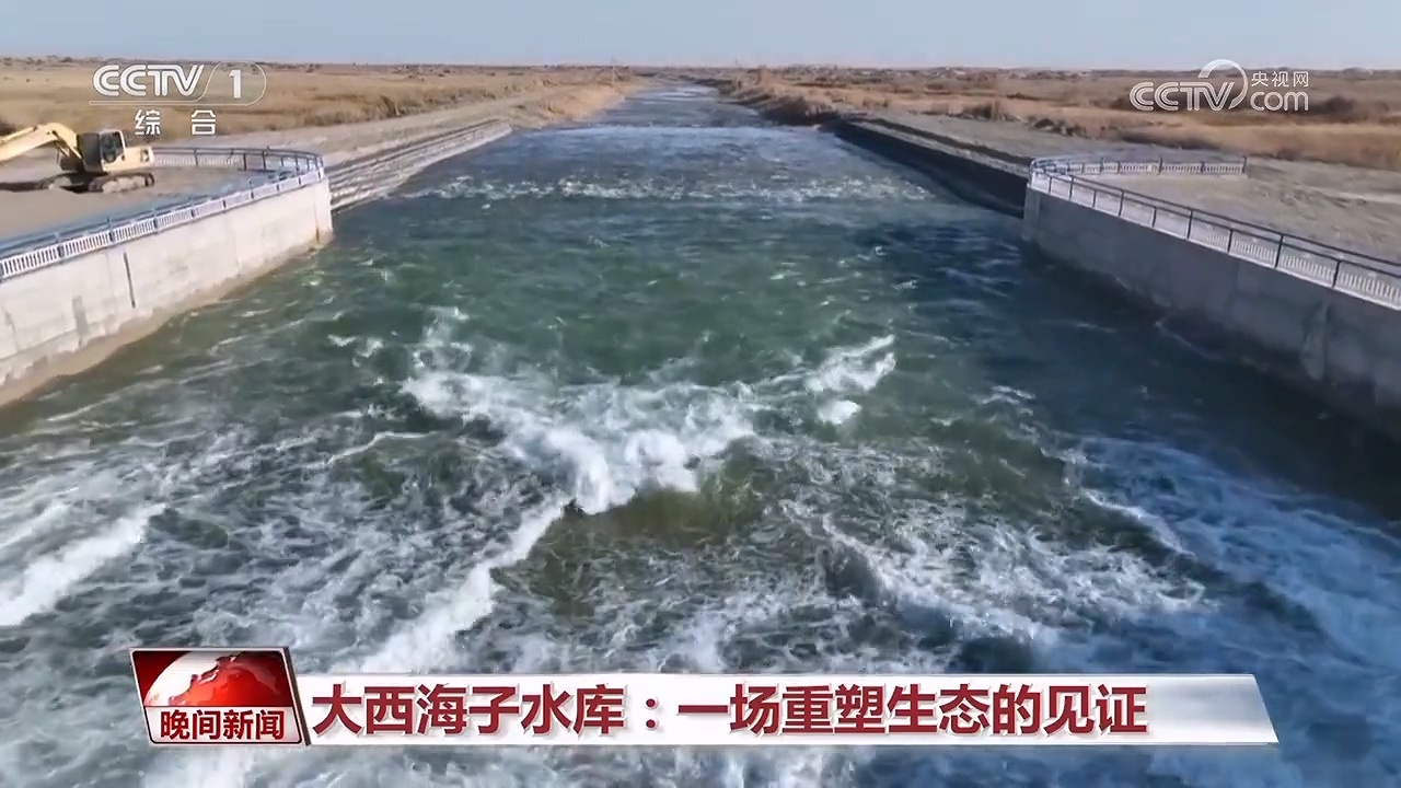 决战沙海｜护河守林润绿洲
