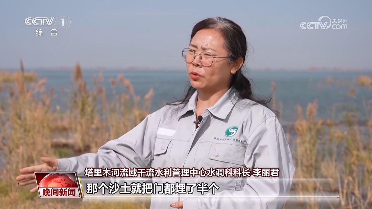 决战沙海｜护河守林润绿洲