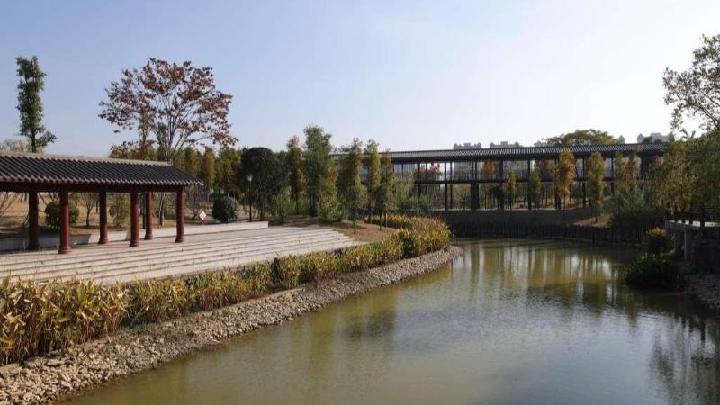 江西永新：昔日荒滩化身城市“绿洲” 奏响生态与人文的和谐新乐章