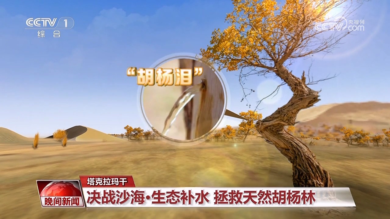 决战沙海｜护河守林润绿洲