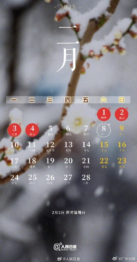 除夕机票搜索量增长2.5倍 多家平台春节机票搜索暴涨