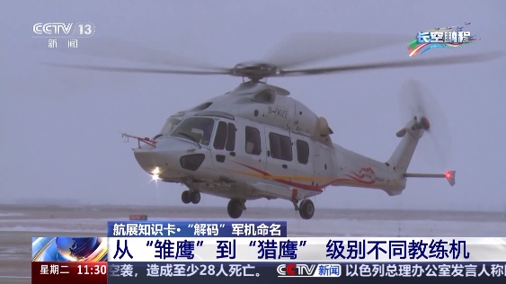 “潜龙”“猎鹰”“飞鲨”……我国军机是如何命名的? “潜龙”“猎鹰”“飞鲨”……我国军机是如何命名的?