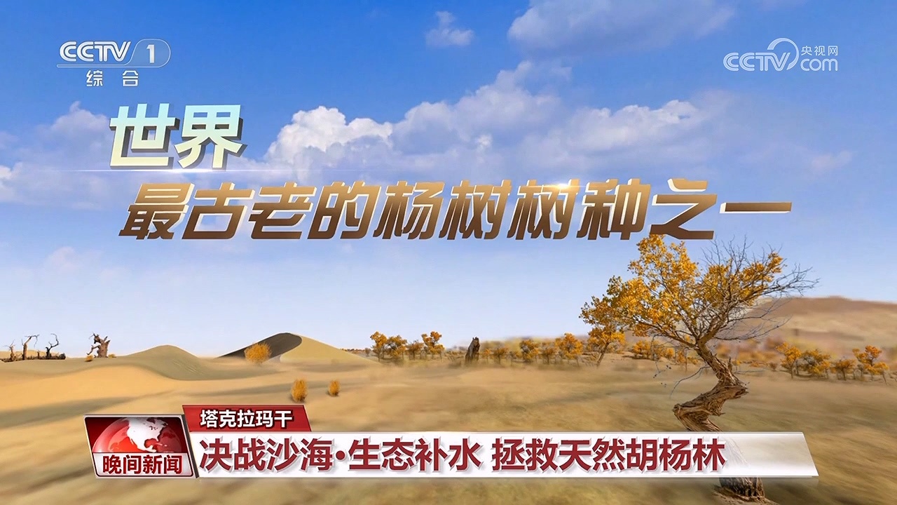 决战沙海｜护河守林润绿洲