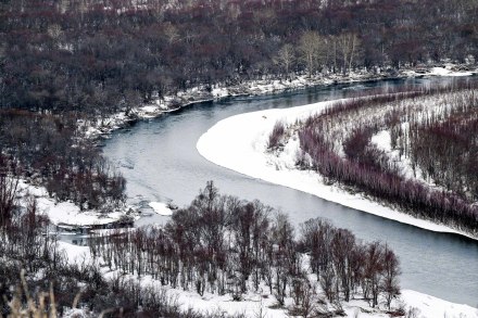 雪后额尔古纳湿地冬日氛围感绝了! 雪后额尔古纳湿地冬日氛围感绝了!