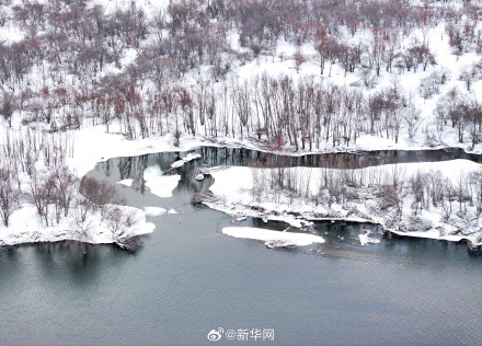 雪后额尔古纳湿地冬日氛围感绝了! 雪后额尔古纳湿地冬日氛围感绝了!