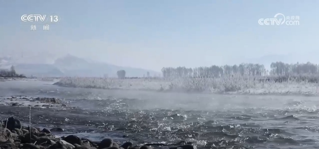 来湿地看候鸟游曳翱翔 来高原赏雪山云海奇景 向“绿”而行共绘大美生态画卷