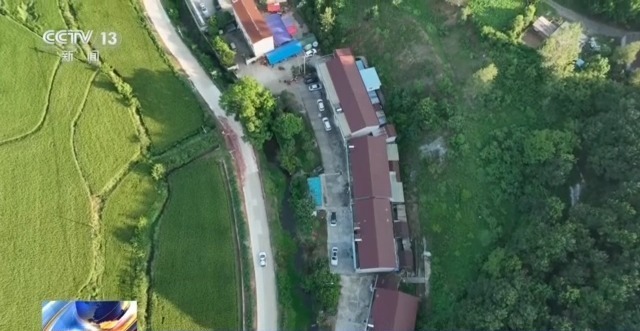 在山里直播采挖野生兰草还敢进行售卖?违法! 在山里直播采挖野生兰草还敢进行售卖?违法!