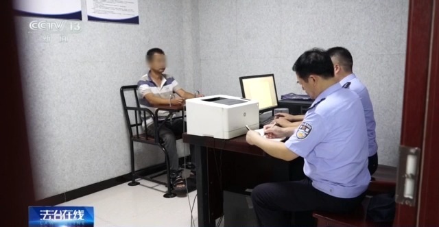 在山里直播采挖野生兰草还敢进行售卖?违法! 在山里直播采挖野生兰草还敢进行售卖?违法!