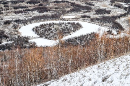雪后额尔古纳湿地冬日氛围感绝了! 雪后额尔古纳湿地冬日氛围感绝了!