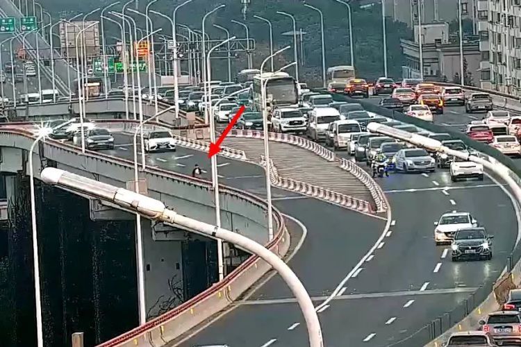 事发上海晚高峰,高架上演危急一幕!民警咆哮:下来! 事发上海晚高峰,高架上演危急一幕!民警咆哮:下来!