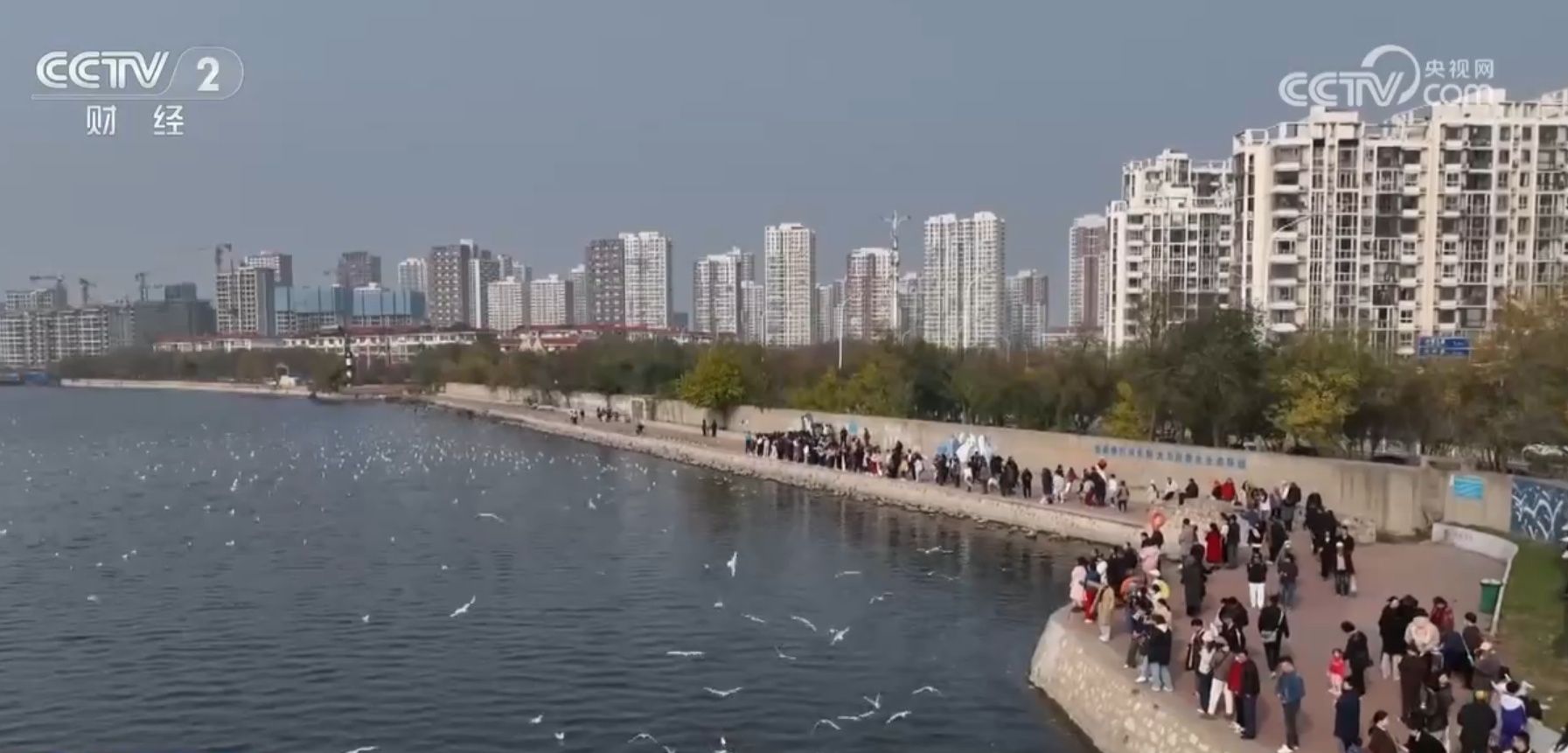 众鸟翔集、彩鹮觅食、雪豹“入镜” 美丽中国画卷在绿水青山间徐徐铺展 众鸟翔集、彩鹮觅食、雪豹“入镜” 美丽中国画卷在绿水青山间徐徐铺展