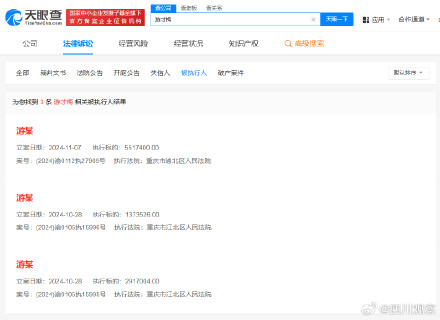 浪胃仙IP创始人被强执980万 浪胃仙IP创始人被强执980万