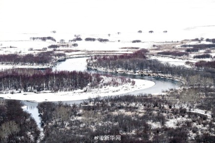 雪后额尔古纳湿地冬日氛围感绝了! 雪后额尔古纳湿地冬日氛围感绝了!