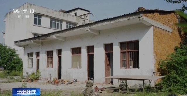 在山里直播采挖野生兰草还敢进行售卖?违法! 在山里直播采挖野生兰草还敢进行售卖?违法!