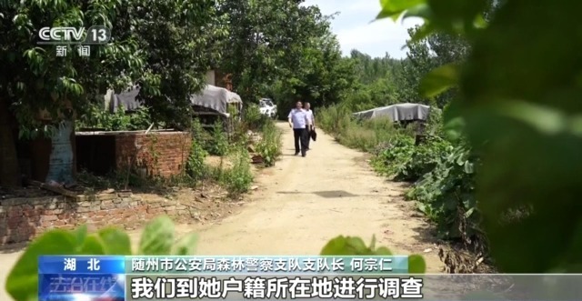 在山里直播采挖野生兰草还敢进行售卖?违法! 在山里直播采挖野生兰草还敢进行售卖?违法!