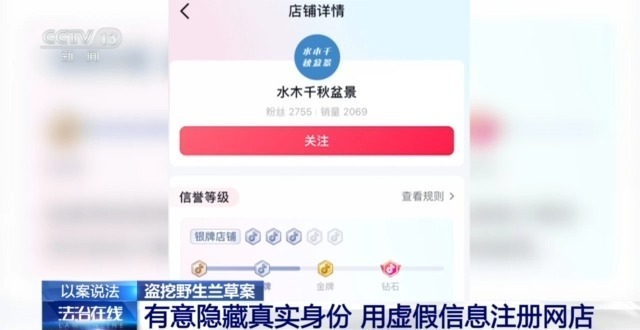 在山里直播采挖野生兰草还敢进行售卖?违法! 在山里直播采挖野生兰草还敢进行售卖?违法!