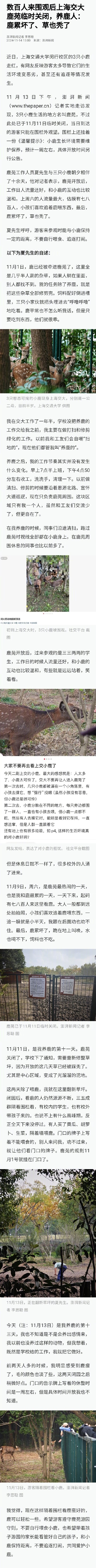 数百人来围观后上海交大鹿苑临时关闭,养鹿人:鹿累坏了、草也秃了 数百人来围观后上海交大鹿苑临时关闭,养鹿人:鹿累坏了、草也秃了