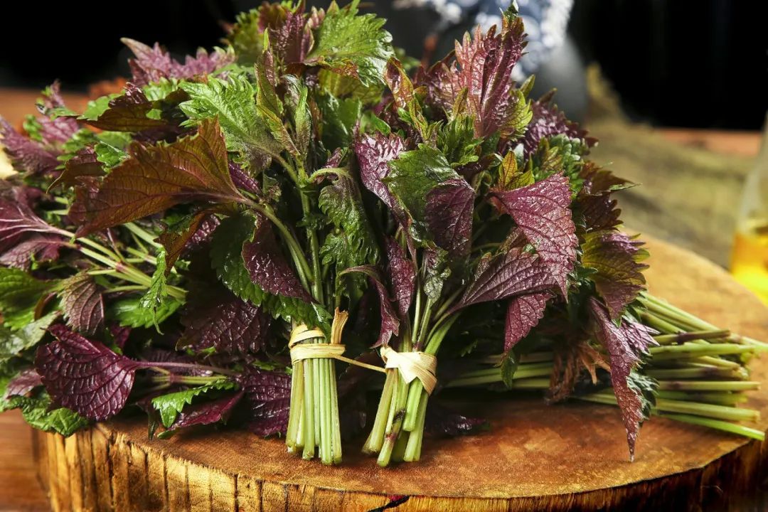 这种“深色蔬菜”全身都是宝，抗炎、抗氧化，还能补维生素